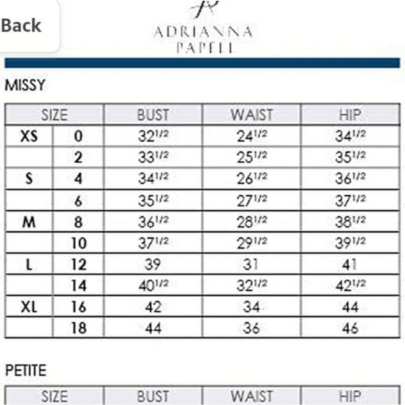 NWT Adrianna Papell Women's Sequin Embroidered Sheath Dress 4 - Picture 3 of 9